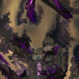 High Elder Ziadih The Fearless Guild Wars 2 Wiki Gw2w High Elder Ziadih The Fearless From Guild Wars 2 Wiki